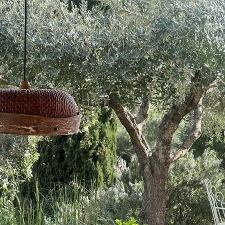 Villa Ferienhaus Elba Mit Panorama